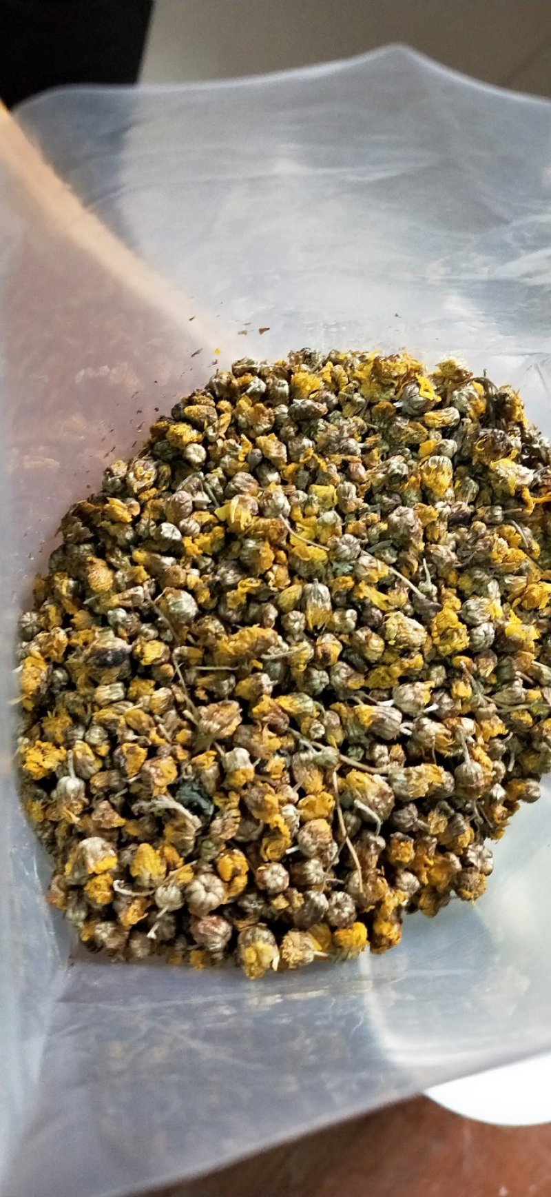 野菊花