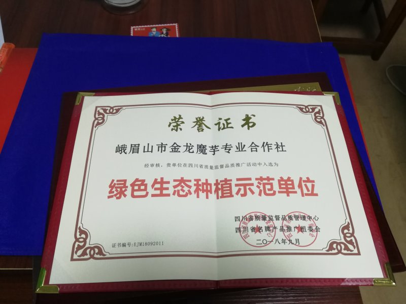 精选四川魔芋一代种魔芋二代种，脱水消毒，品质保证