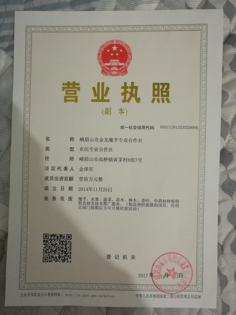 精选四川魔芋一代种魔芋二代种，脱水消毒，品质保证