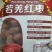 新疆若羌枣特级【20斤装