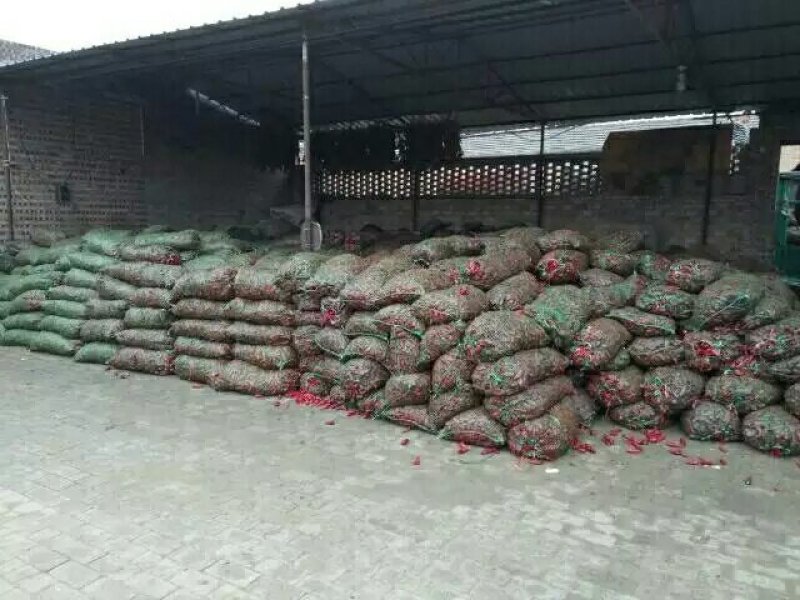 大量供应北京红干辣椒