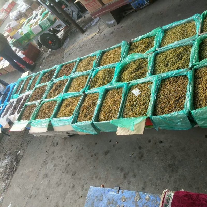 一级葡萄干，大量有货对接全国市场电商平台，欢迎新老客户前
