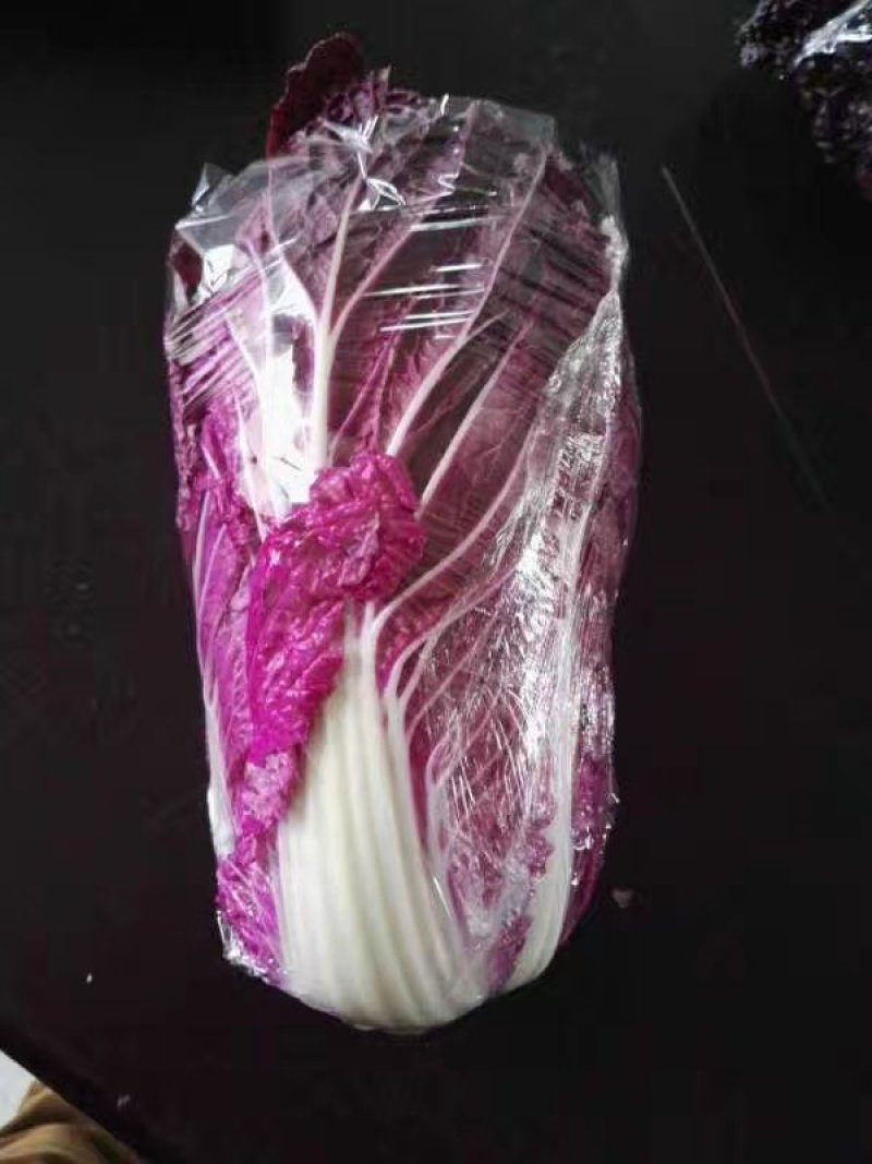 [爆款直降秒杀24小时]紫白菜五斤包邮