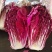 [爆款直降秒杀24小时]紫白菜五斤包邮