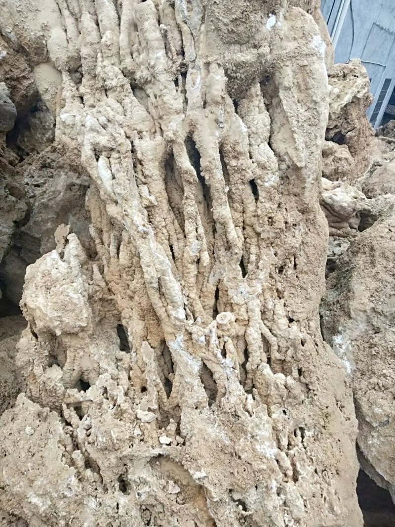 盆景盆花