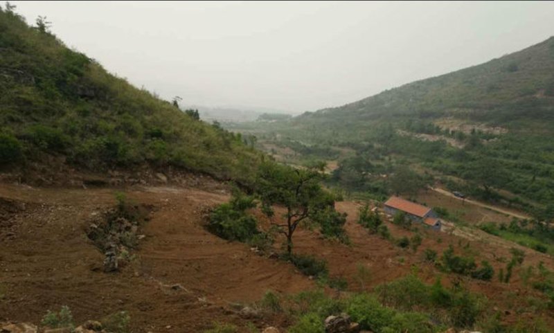 潍坊临朐1450亩种植养殖出租转让27年