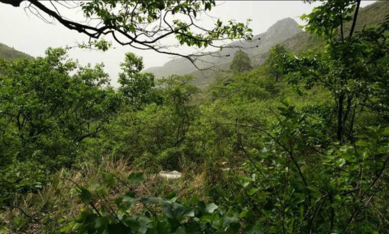 潍坊临朐1450亩种植养殖出租转让27年