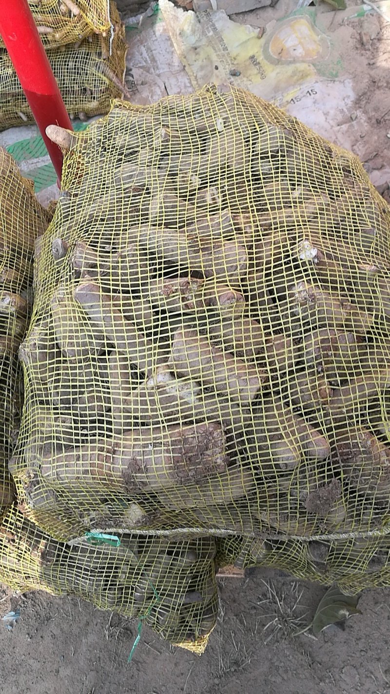 下脚料