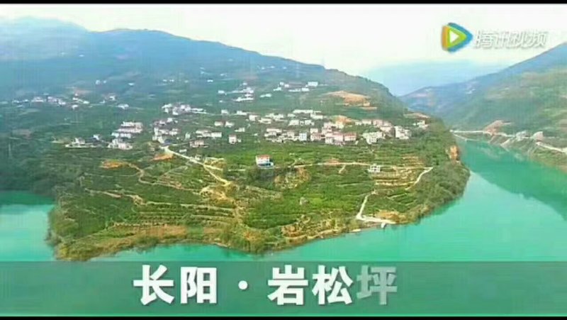 位于湖北宜昌，长阳县，渔峡口镇，岩松平村！
