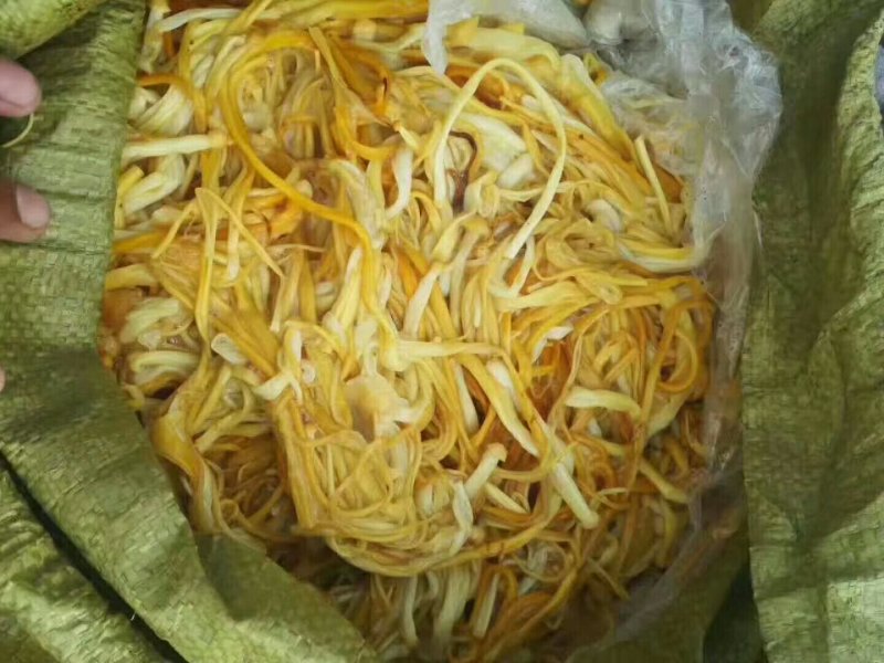 黄色金针菇