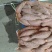 【红薯】西瓜红瓜形好无沟眼价格合理量大从优