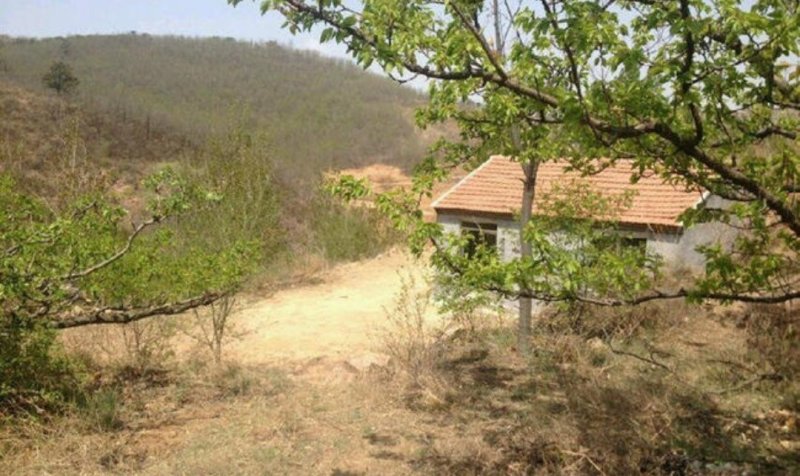 潍坊临朐辛塞镇150亩生态种植丘陵27万转让