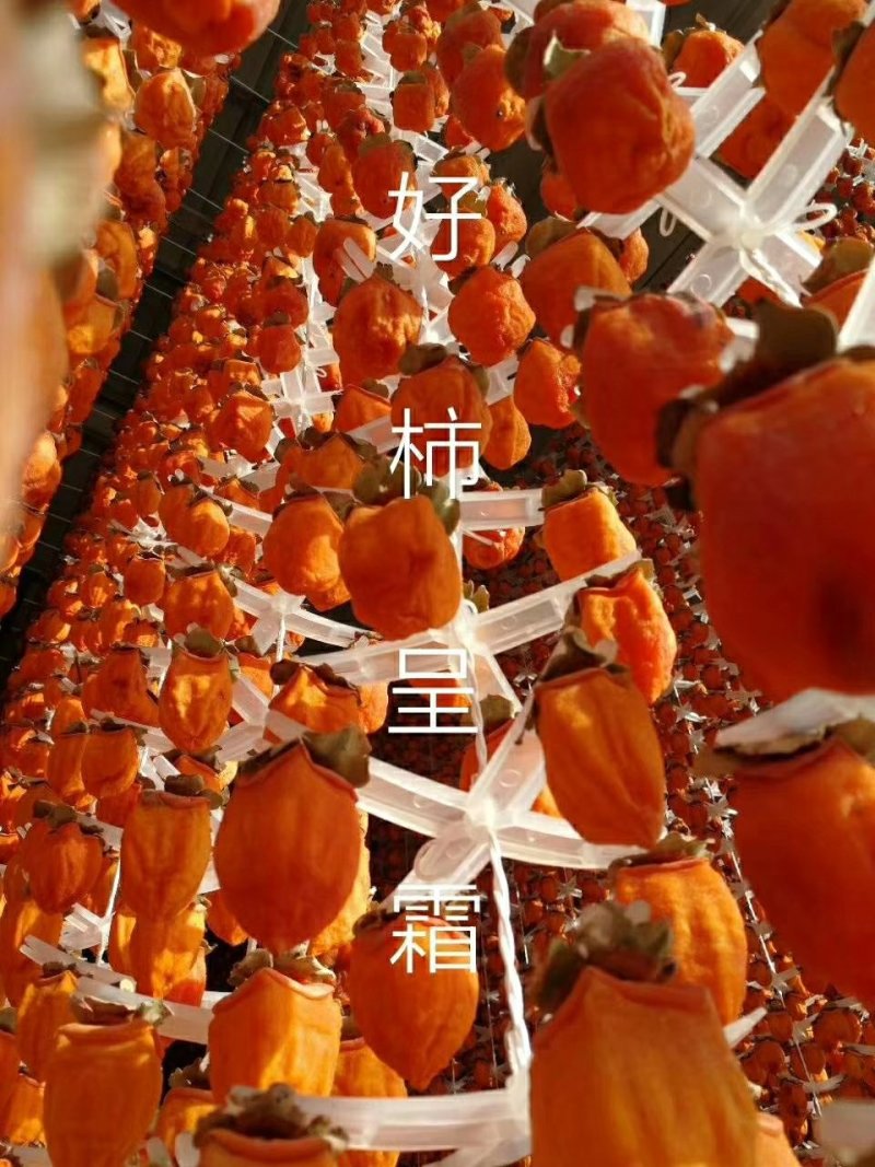 富平柿饼