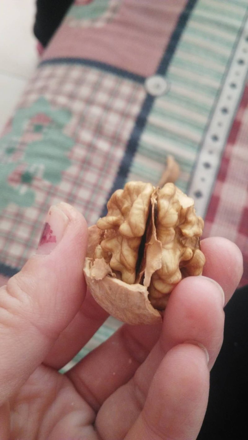核桃，枣柿饼