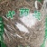 白毛夏枯草