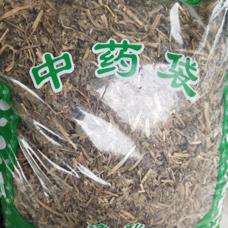 白毛夏枯草