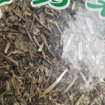 白毛夏枯草