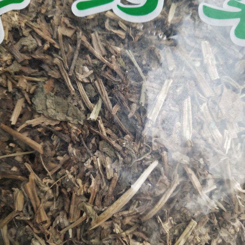 白毛夏枯草