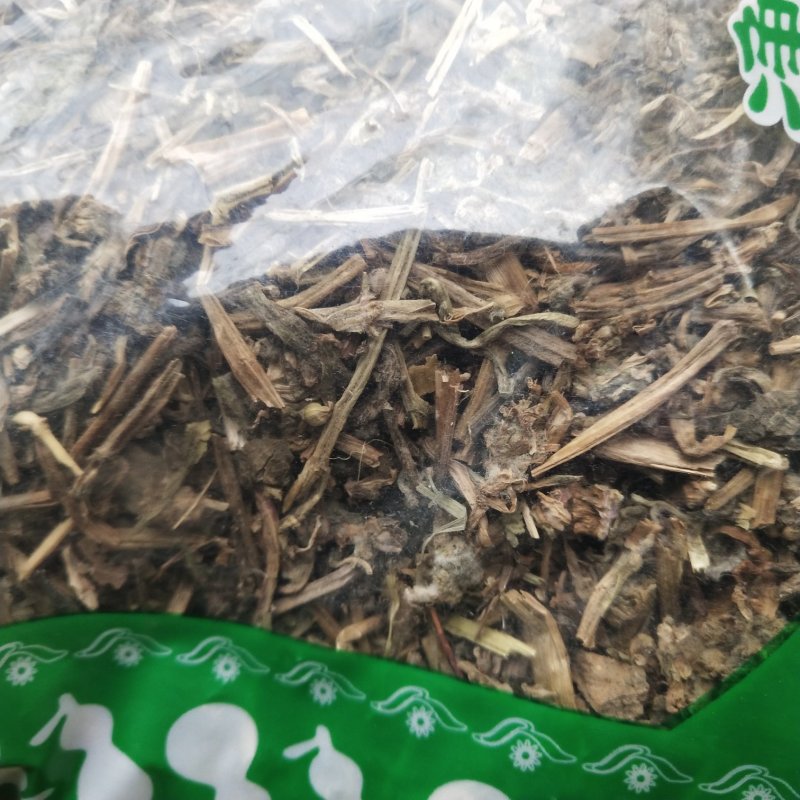 白毛夏枯草