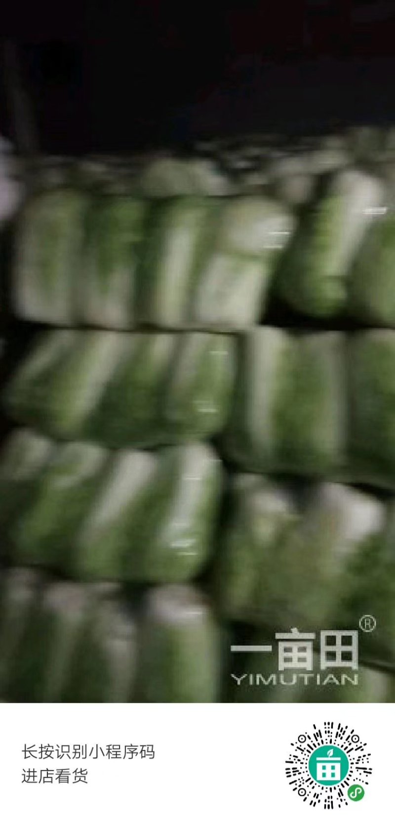 大量供应北京三号大白菜，农场直供