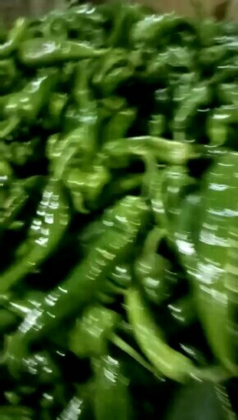 优质保量