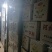 雪花梨👍甜蜜上市中【赵县专业合作社】保质保量品种齐全