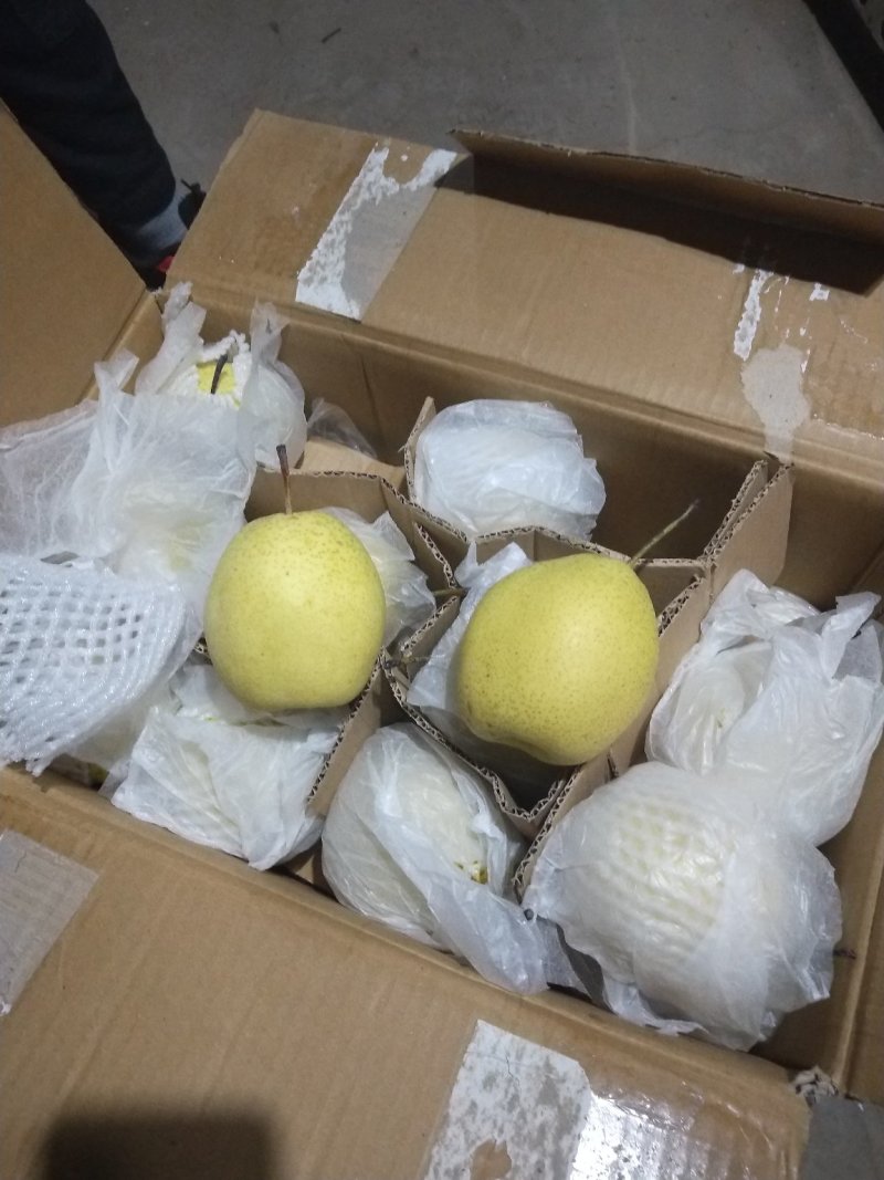雪花梨👍甜蜜上市中【赵县专业合作社】保质保量品种齐全