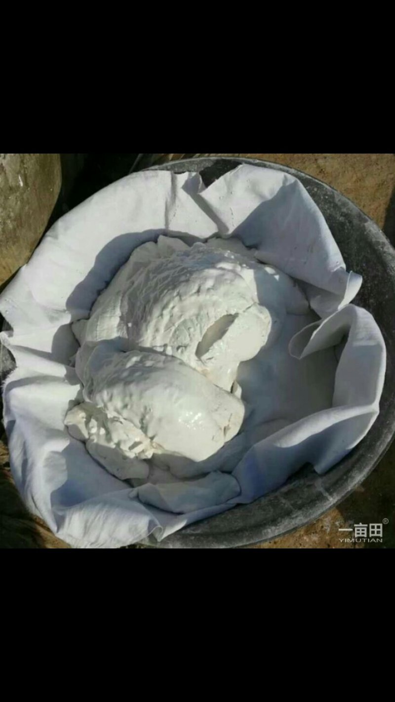 纯地瓜粉条