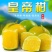 皇帝柑桂林皇帝柑，广西贡柑，代收。代发，贡橘