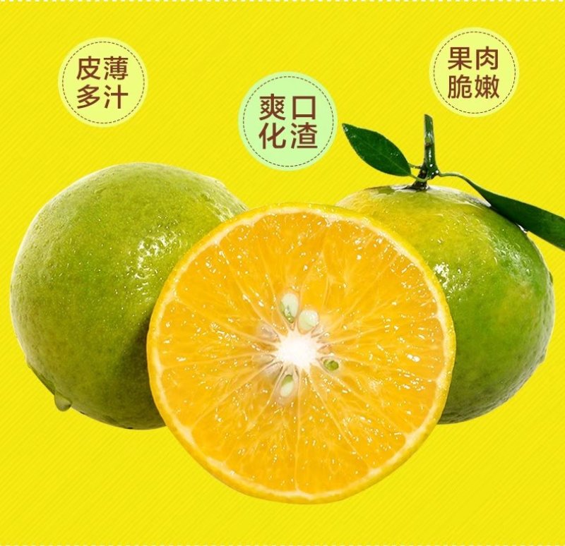 皇帝柑桂林皇帝柑，广西贡柑，代收。代发，贡橘