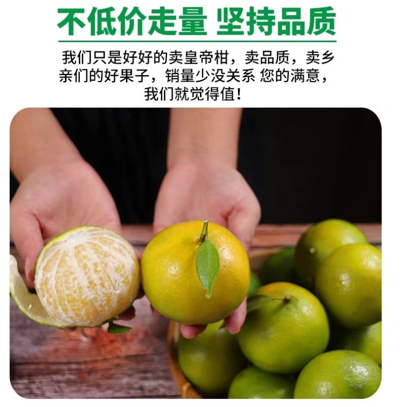 皇帝柑桂林皇帝柑，广西贡柑，代收。代发，贡橘