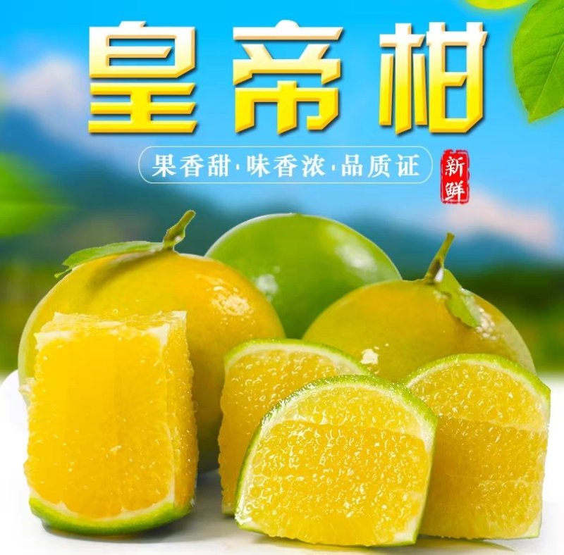 皇帝柑，贡柑，代办，代发，桂林皇帝，广西好货
