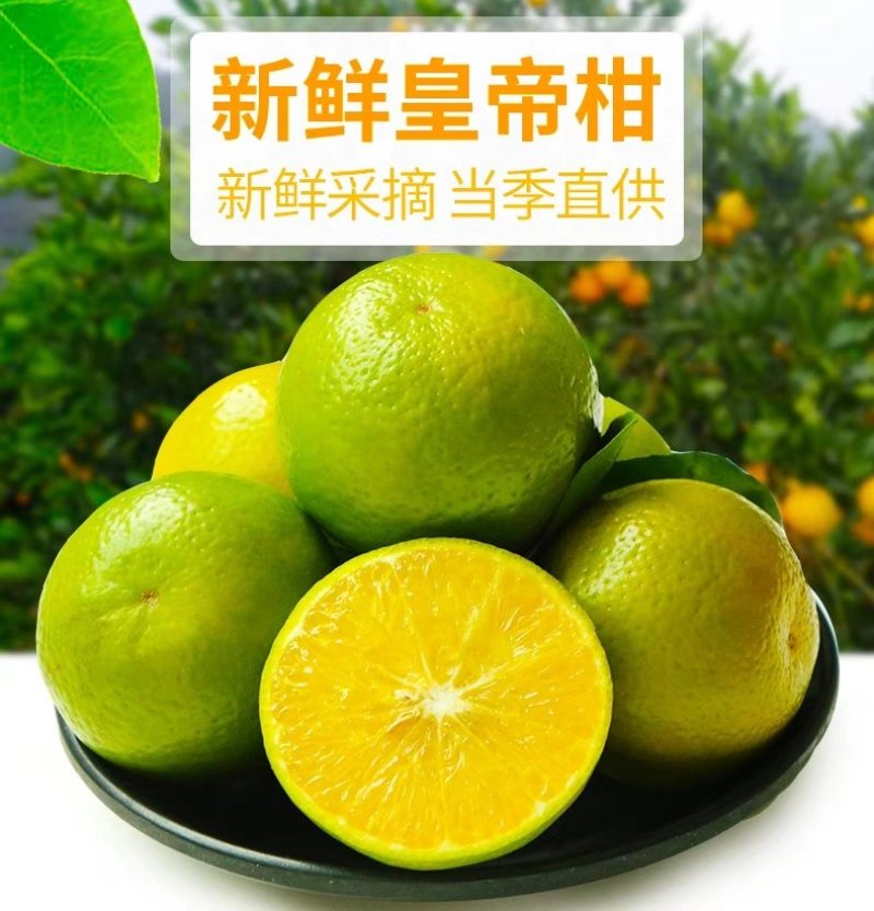 皇帝柑，贡柑，代办，代发，桂林皇帝，广西好货