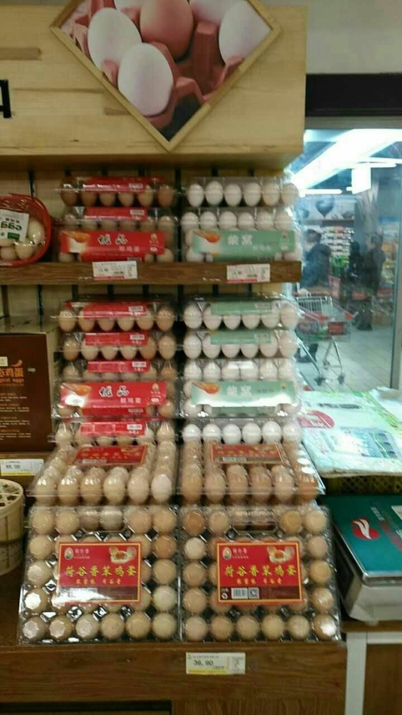 笨鸡蛋，鸡蛋礼盒