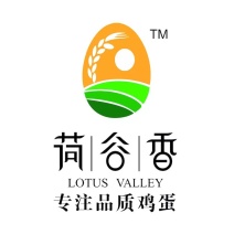 笨鸡蛋，鸡蛋礼盒