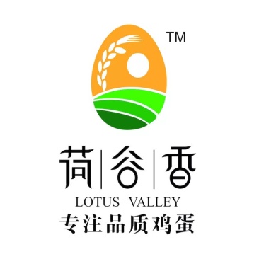 笨鸡蛋，鸡蛋礼盒