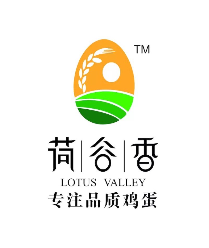 笨鸡蛋，鸡蛋礼盒