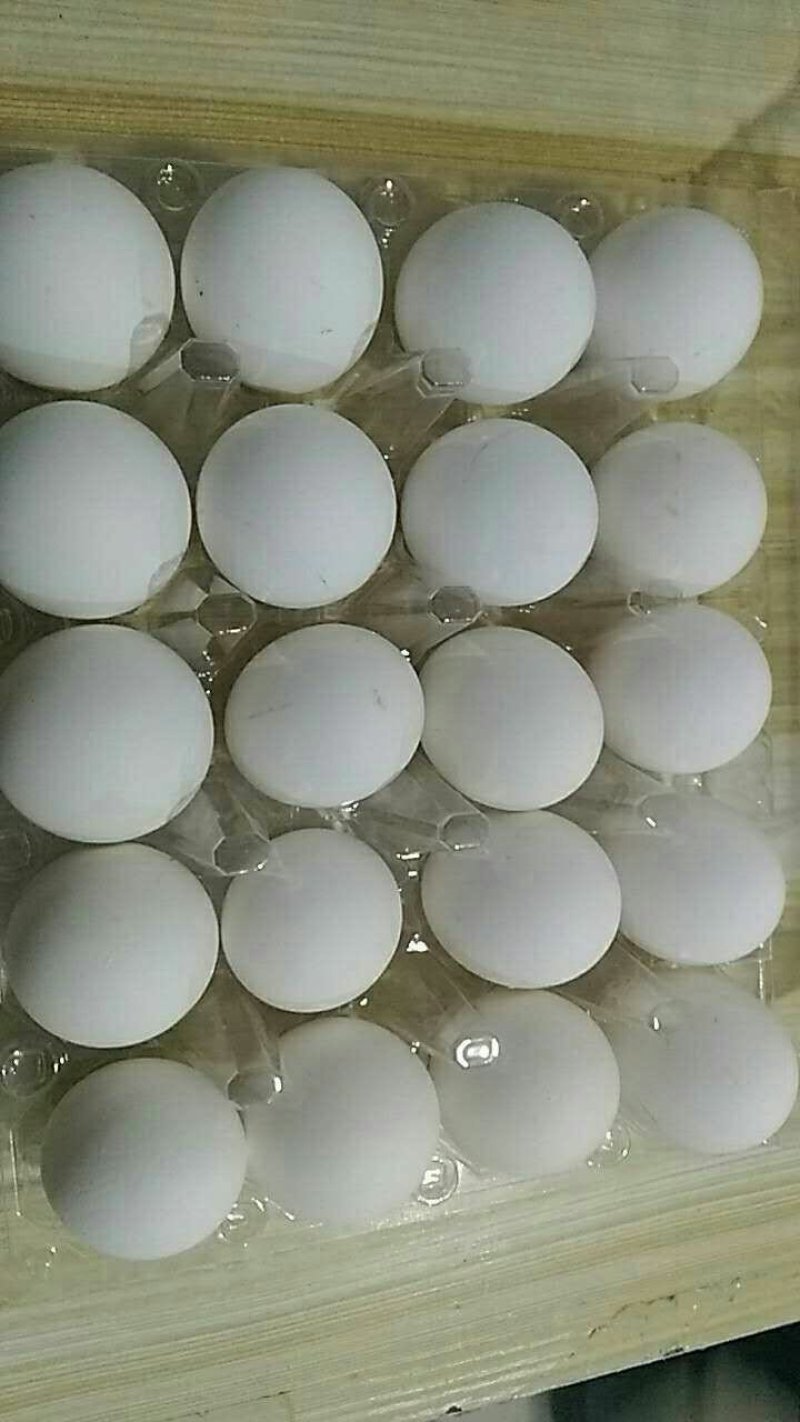 笨鸡蛋，鸡蛋礼盒
