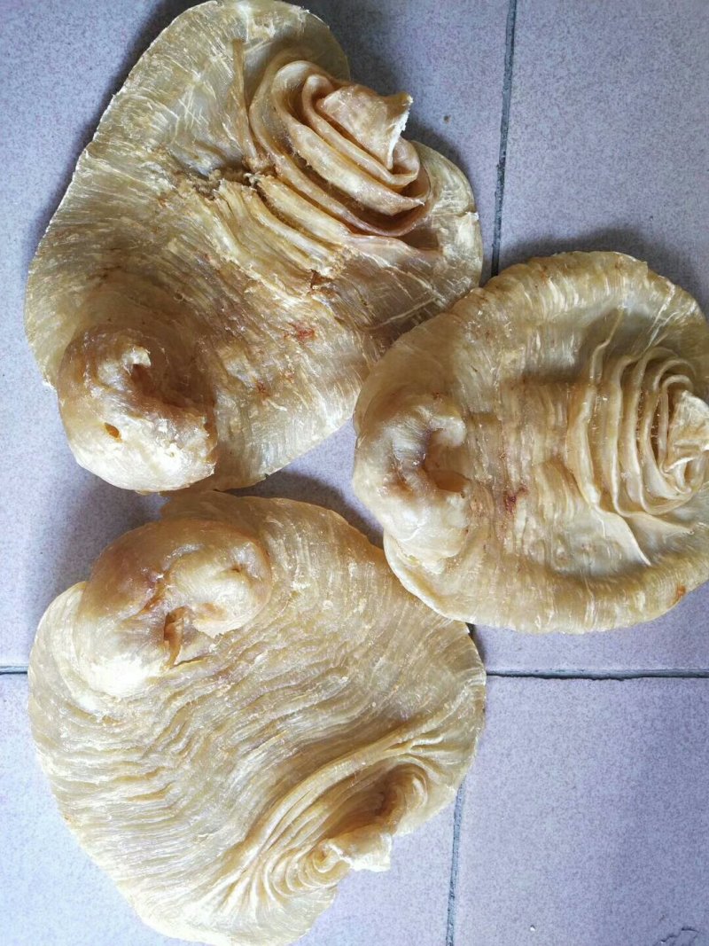 花胶