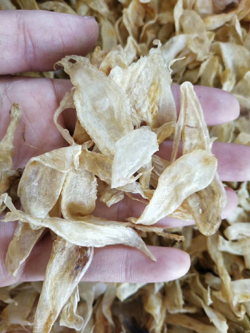 花胶