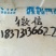 羊肉