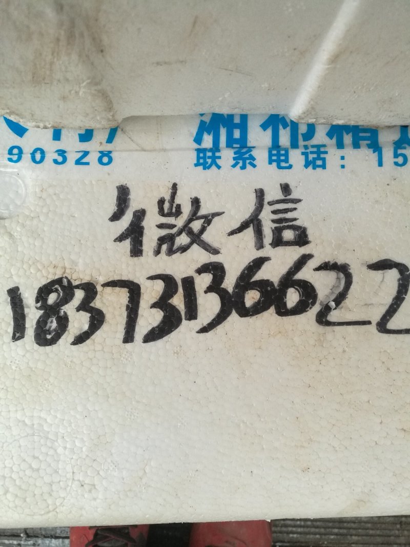 羊肉