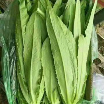 油麦
