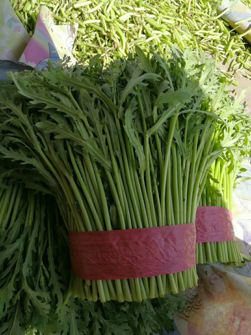 叶菜类