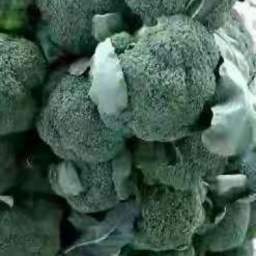 西蓝花
