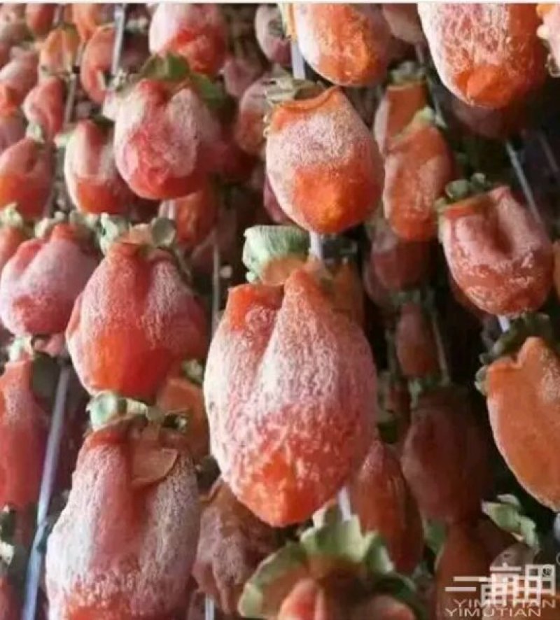 正宗富平柿饼