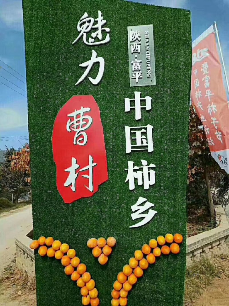 富平吊霜柿饼