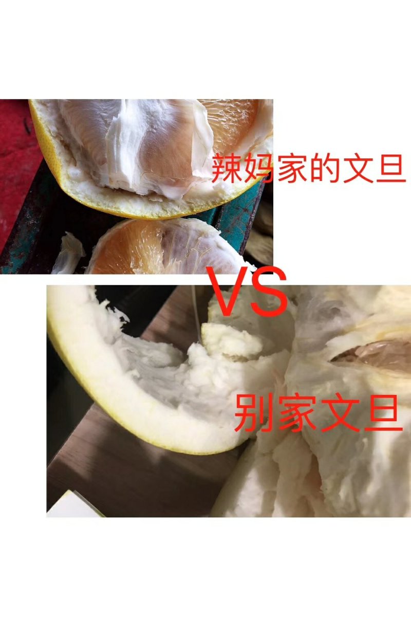 柚子玉环文旦柚2个装5-6斤净重