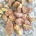 出油率高油茶籽99%以上