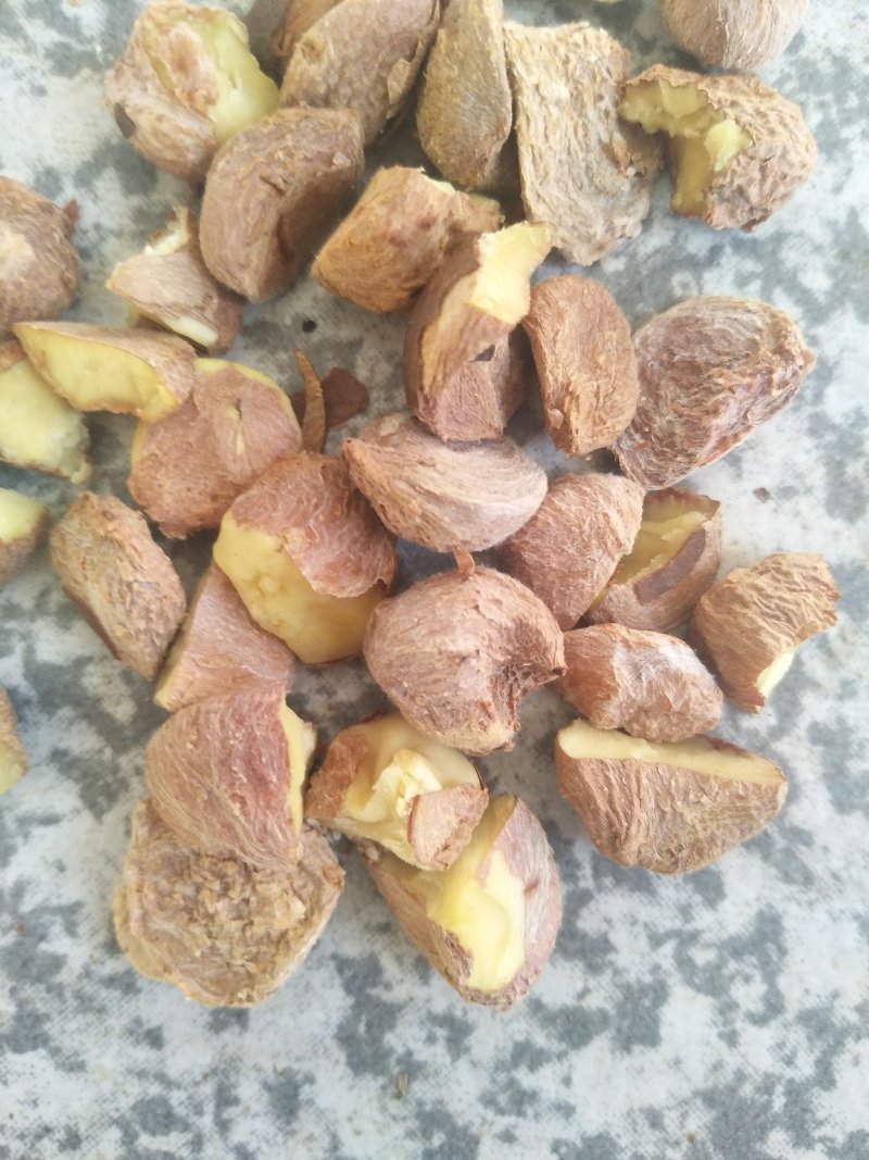 出油率高油茶籽99%以上